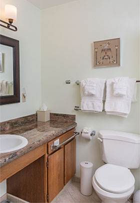 Toilet with grab bars; deep coral granite counter with open area under white sink