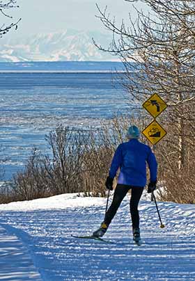 Person in blue coat cross country skiing along road with black and yellow signs on side. Snowy covered mountains in distance.